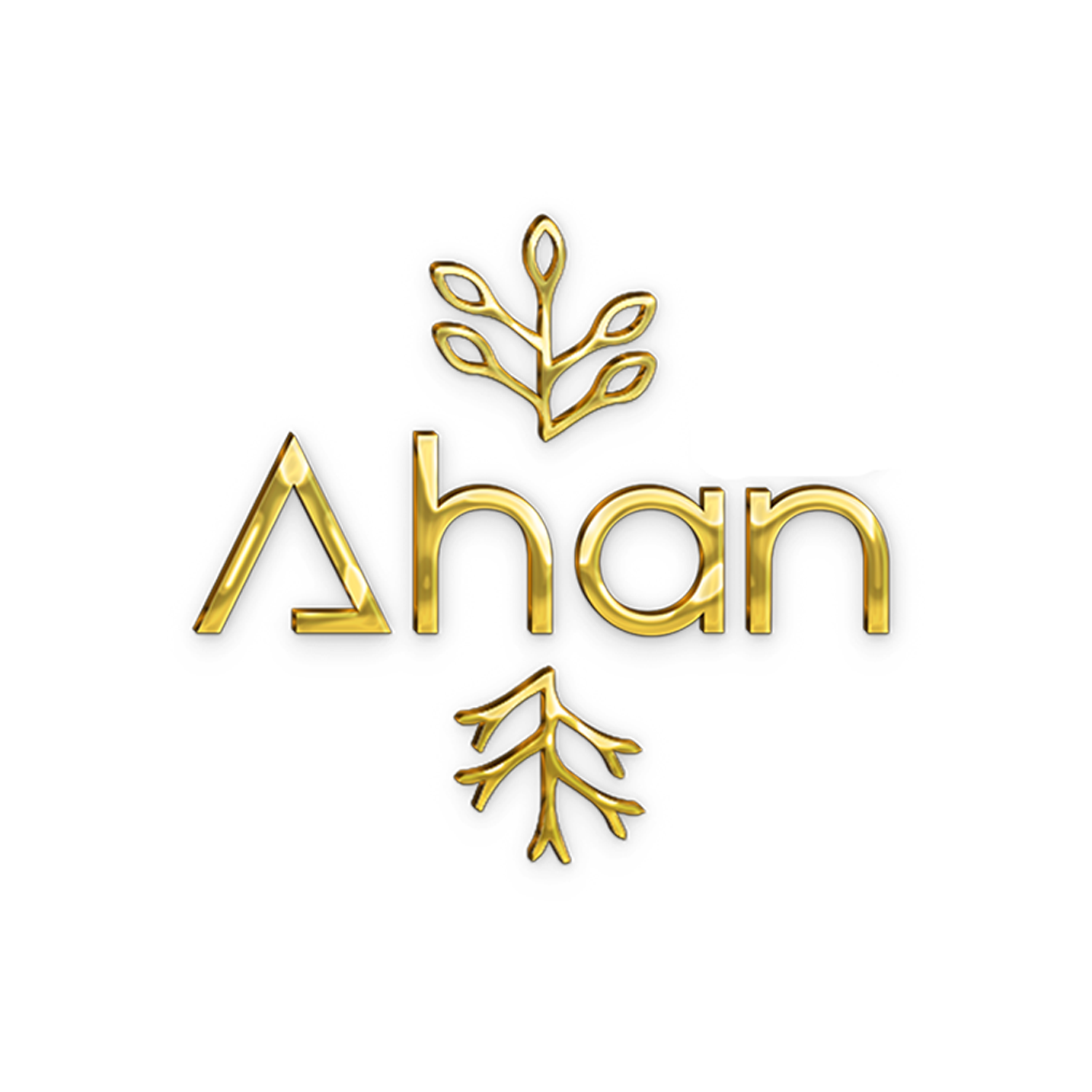 AHAN FOODS